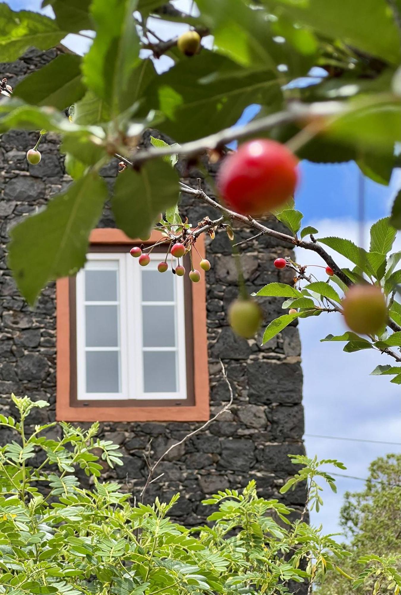 Cozy Rural House Las Guindas, El Hierro Эресе Экстерьер фото