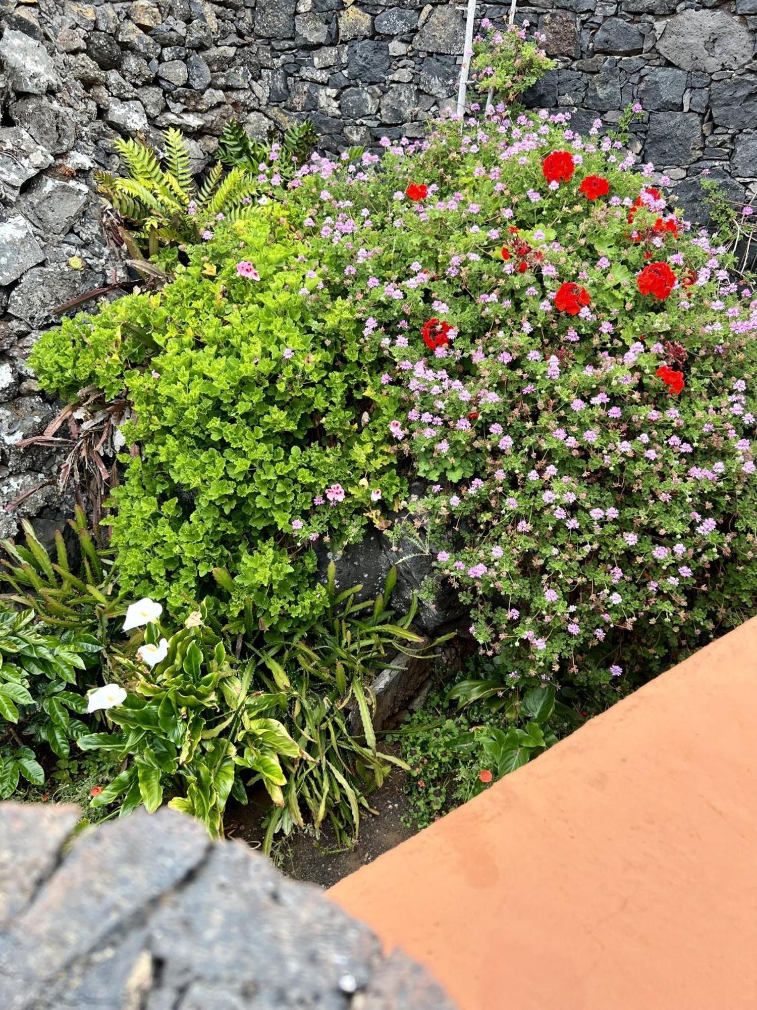 Cozy Rural House Las Guindas, El Hierro Эресе Экстерьер фото